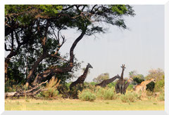 Bruno Deveze Namibie ©