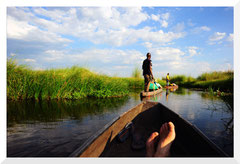 ©- Delta de l'Okavango - Bruno Deveze - Trek Botswana