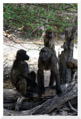 Bruno Deveze Botswana trek ©