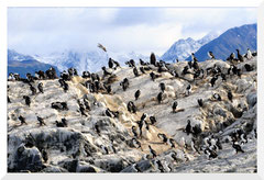 Beagle canal - Patagonie Argentine - Bruno Deveze ©