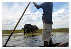 Bruno Deveze - Botswana - trek ©
