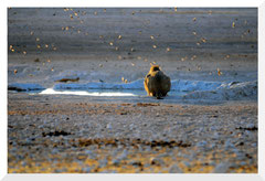 Bruno Deveze Namibie ©