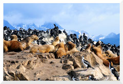 Canal de Beagle - Patagonie Argentine - Bruno Deveze ©