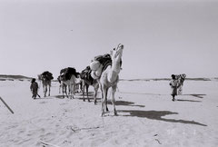 Sahara Mauritanie © Bruno Deveze