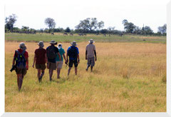 Bruno Deveze Botswana trek ©