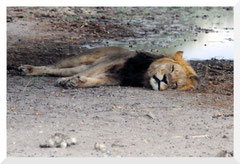 Bruno Deveze Botswana trek ©