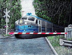 443 (2020)