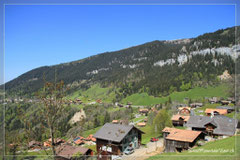 Blick gegen Norden - Richtung Niederhorn.