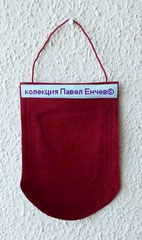 ДФС Червено знаме (Раднево) - DFS Cherveno zname (Radnevo) - гръб (11 х 15,5) 