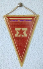 ДФС Партизанин (Червен бряг) - FSD Partizanin (Cherven bryag) - гръб (9 х 13)