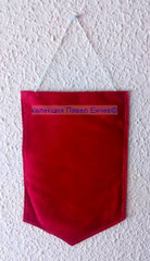 ДФС Червено знаме (Павликени) - DFS Cherveno zname (Pavlikeni) - гръб (11,8 x 18,7)