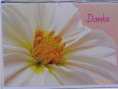 Danke 30-013