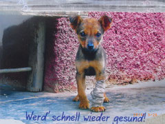 Werd´gesund! 30-011