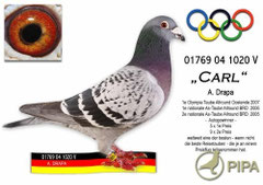 Der"Carl"Sohn"König x Königin",5 x 1.Preis,9 x 2.Preis,1.Olympia Taube 2007,Autogewinner,u.s.w...