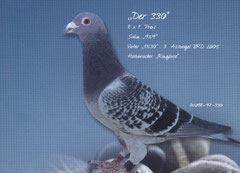 Der 330 orig.Prange,fliegt 8x1.Konkurs !!!Großvater meines 09-404