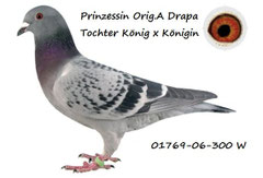 Prinzessin,Orig.A.Drapa,Großmutter meines 11-162,11-867 und der 09-775