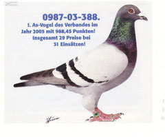 Der"Comet"orig.T.van Ravenstein