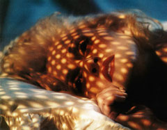 467-005 ROCK EXPRESS/POSTCART PORTFOLIO