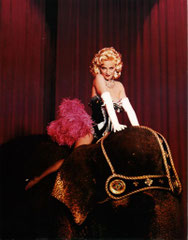 467-002 ROCK EXPRESS/POSTCART PORTFOLIO