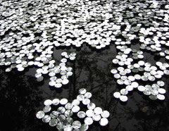 "reflets"/ sculptures en ville/ Bordeaux 2009