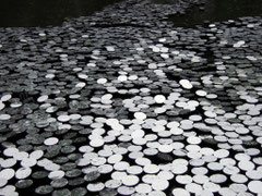 "reflets" / sculptures en ville/ Bordeaux 2009