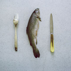STill life concept
