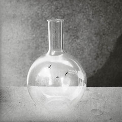 Nature Morte .