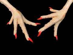 main de poulet for danse 