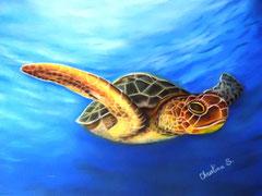 TORTUE MARINE (pastel)