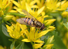 Rausgeputzt