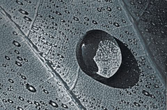 Tropfenmagnet