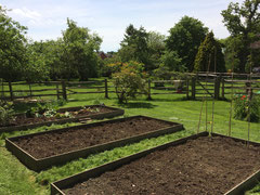 Raised vegetable patches dug over ready for planting