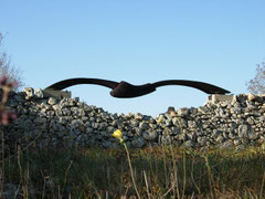 Spiderbird / 2006 / 50x410x60 cm / Schirmpinie, geflammt / Auftrag