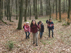 Gemeinsam im Wald