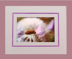 Nr. 5/03 Airbrush auf Fin Art  Papier 50x40 cm inkl. Karton -Passepartout, Glas, Metallr. Bronze eluxiert  m. Rückwand  € 320,-  