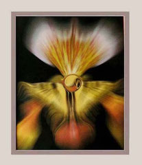Nr. 5/07  Airbrush auf Fin Art Papier  60x50 cm inkl. Karton - Passepartout,  Glas, Metallr. Silber eluxiert m. Rückwand   € 270,-