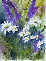Margeriten mit Salbei, Aquarell, 30x40, 2012