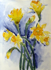Narzissen 2, Aquarell, 24x32, 2012