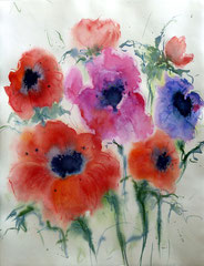 Anemonen 3, Aquarell auf Bütten, 50x65, 2012