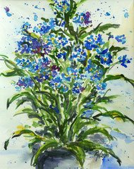 Vergißmeinicht, Aquarell, 24x32, 2011