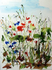 Mohn mit Kornblumen 2, Aquarell, 24x32, 2012