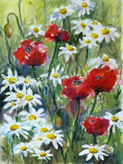 Mohnblumen mit Margeriten, Aquarell, 30x40, 2012