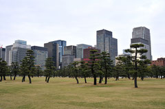  Imperial Palace - Tokyo