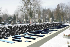 054 Wettbewerb Mahnmal Viehofen, St.Pölten, 2009
