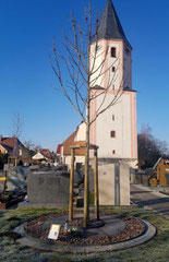 Gestaltung für die Gemeinde Röttenbach