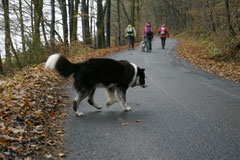 Rhön-Wellness+Wandern, Nov.2012