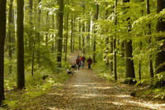 Aussie-Wanderung Altkönig