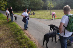 Hundeschulausflug Sicher auf 4 Pfoten, Grüner See, 28.9.14, Foto Nr.10