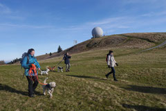 Rhön,Wellness+Wandern,T-Dogs,7.-9.11.2014, Foto Nr.23