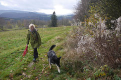 Rhön,Wellness+Wandern,T-Dogs,7.-9.11.2014, Foto Nr.16